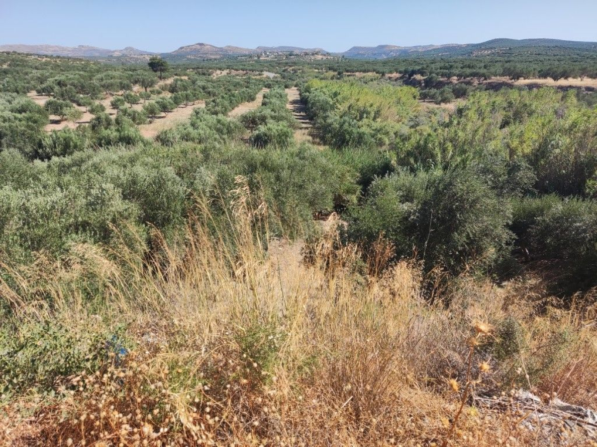property-img