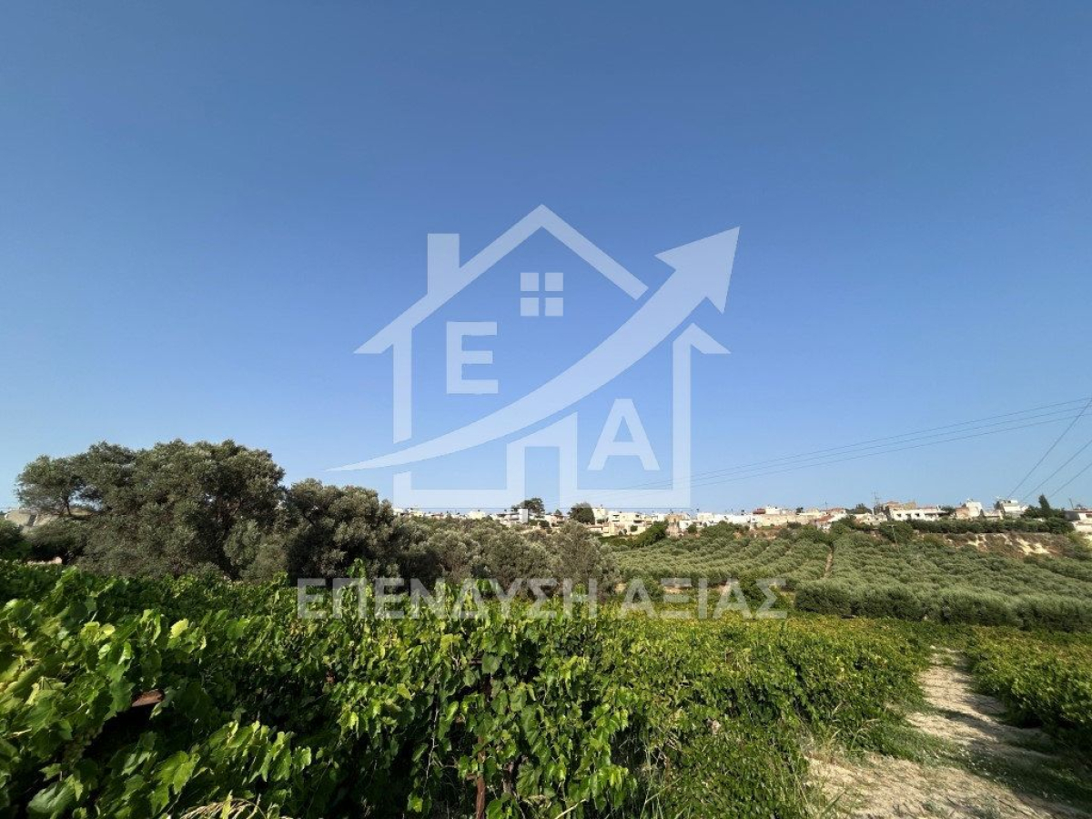 property-img
