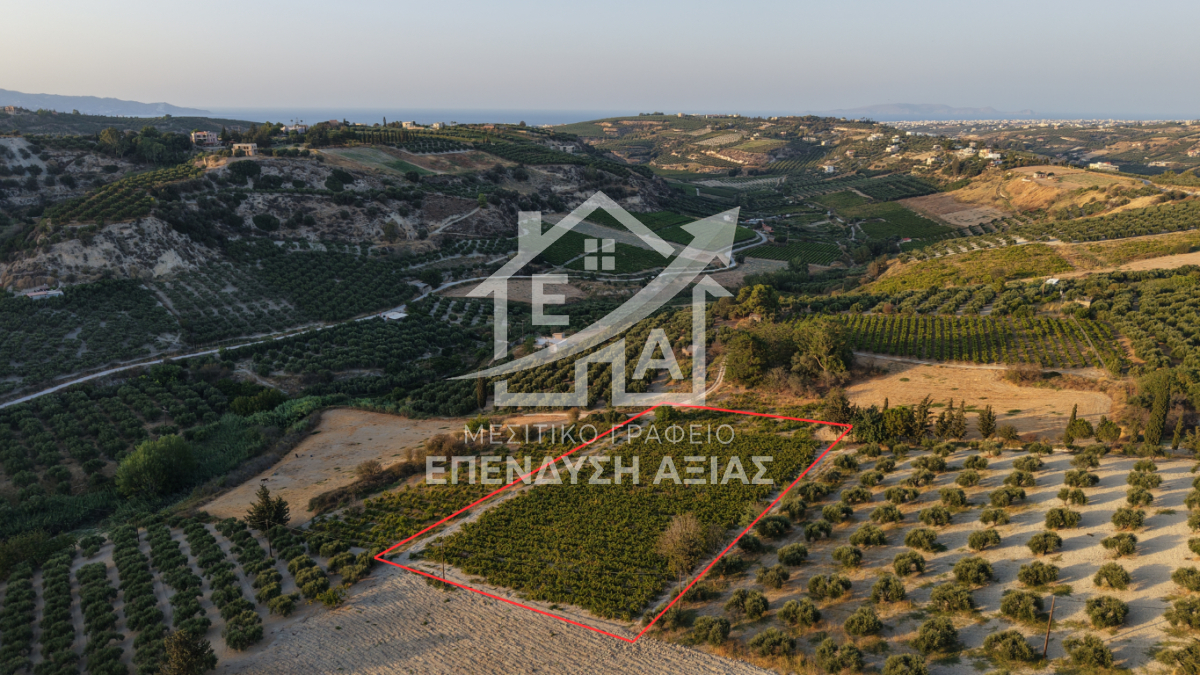 property-img