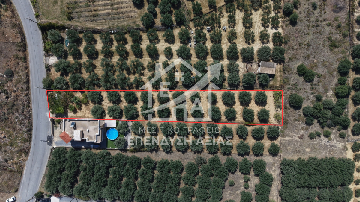 property-img